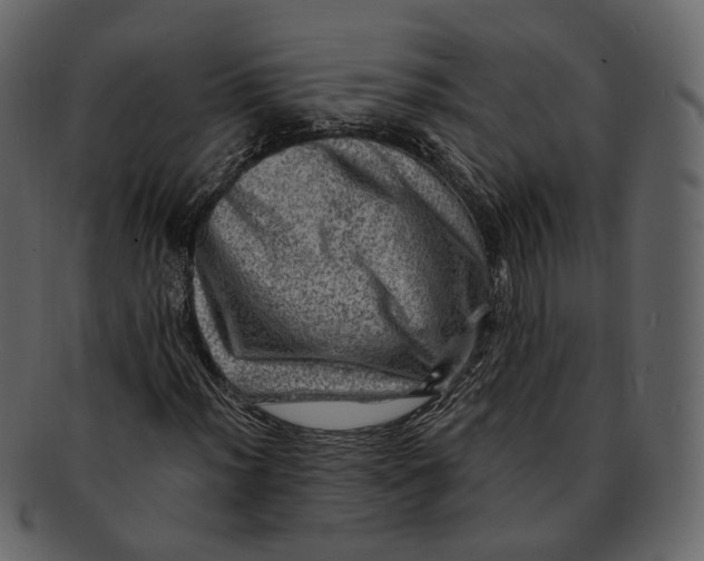 X0000092301012200710051216