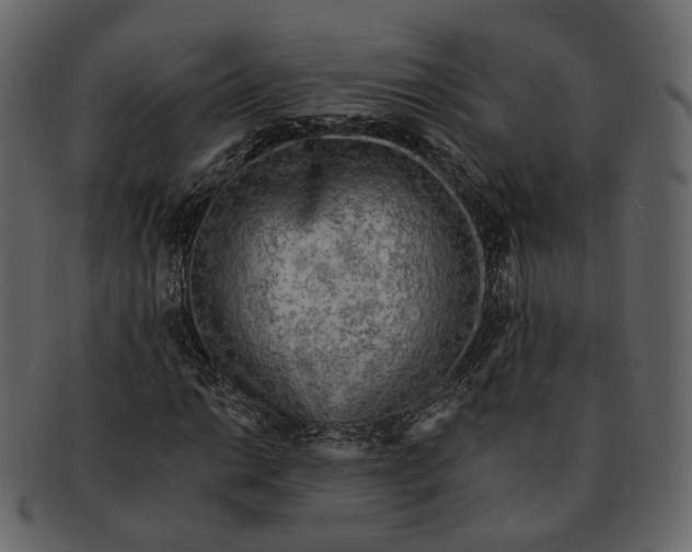 X0000092301014200710051216