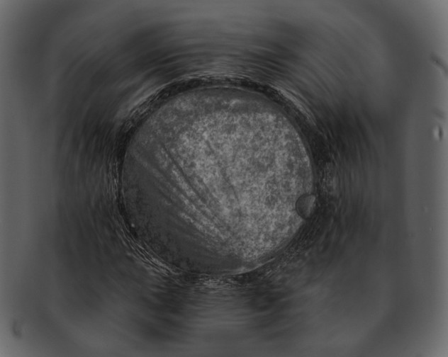 X0000092301015200710051216