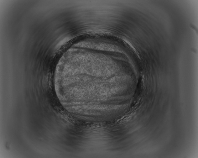 X0000092301016200710051216