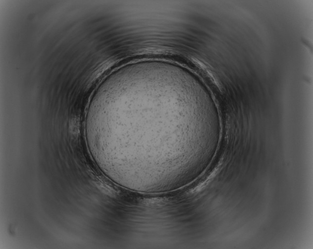 X0000092301017200710051216