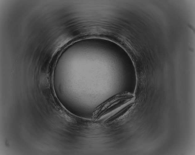 X0000092301018200710051216