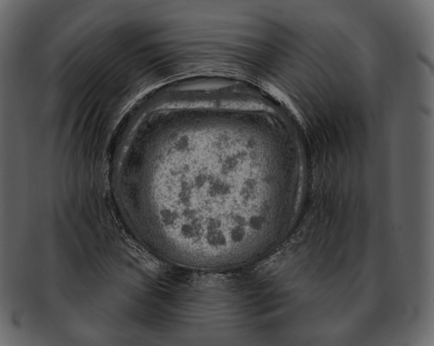 X0000092301019200710051216