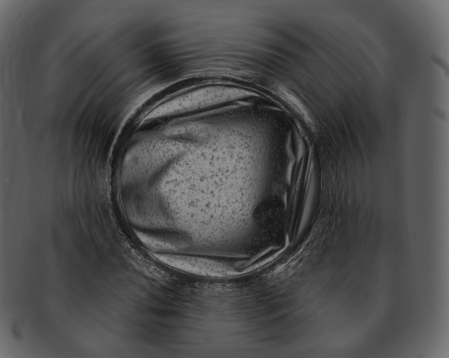 X0000092301020200710051216