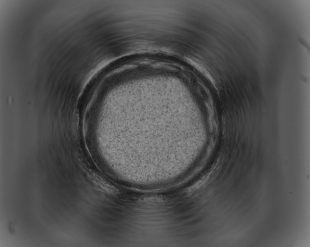 X0000092301021200710051216