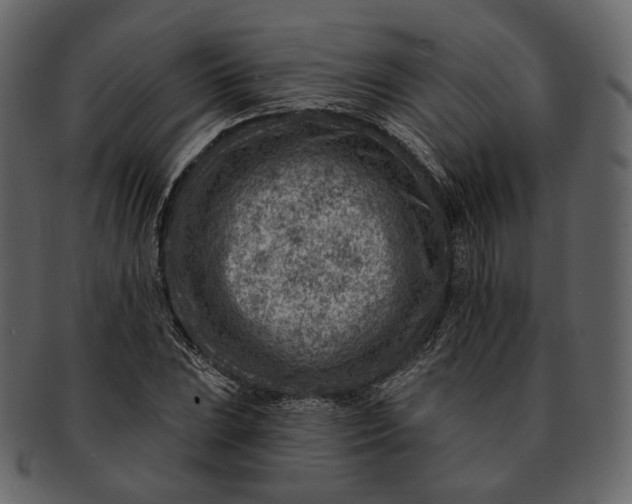 X0000092301023200710051216