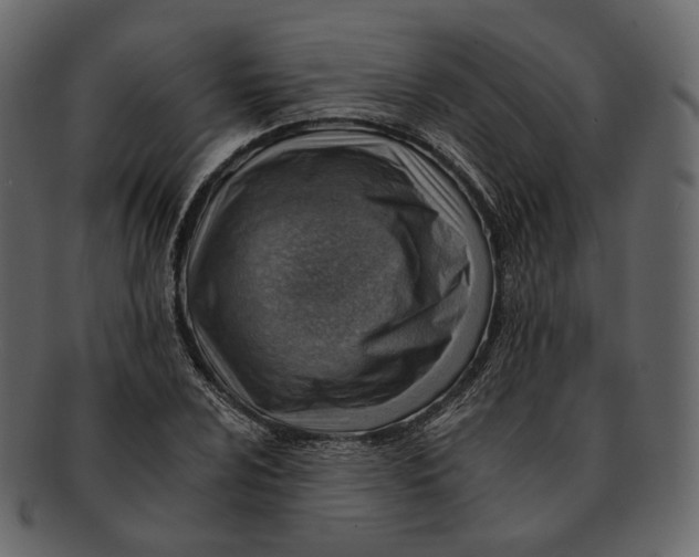 X0000092301024200710051216