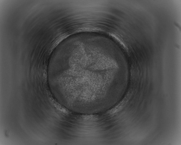 X0000092301025200710051216