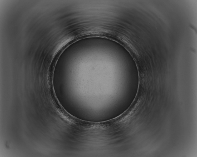 X0000092301026200710051216