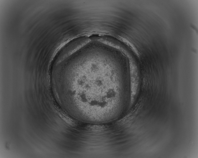 X0000092301027200710051216