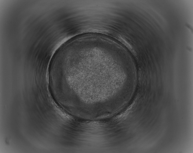 X0000092301028200710051216