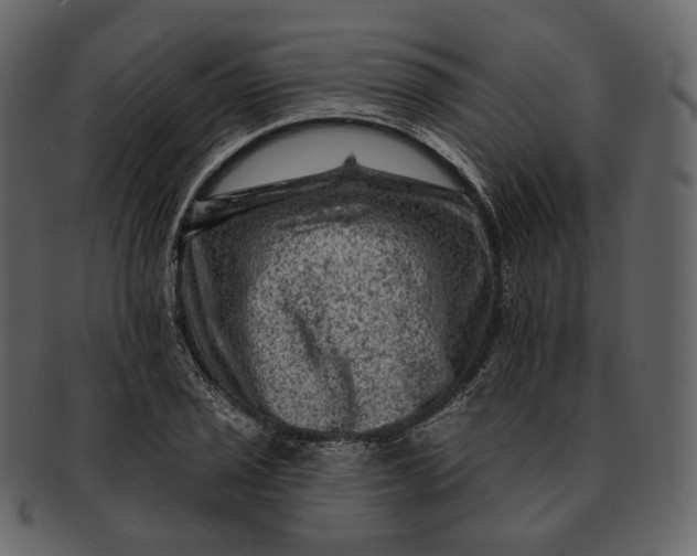 X0000092301029200710051216