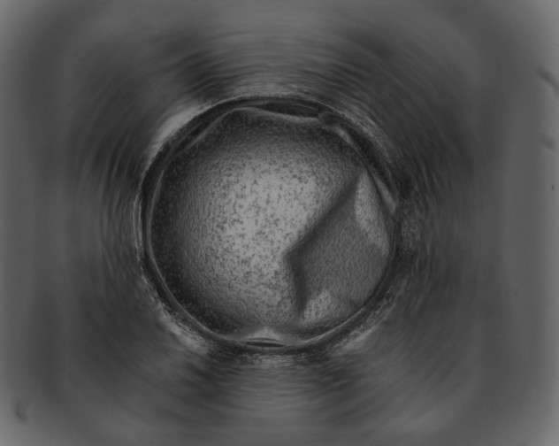 X0000092301030200710051216