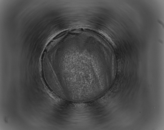 X0000092301031200710051216