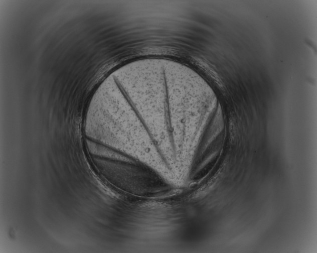 X0000092301033200710051216