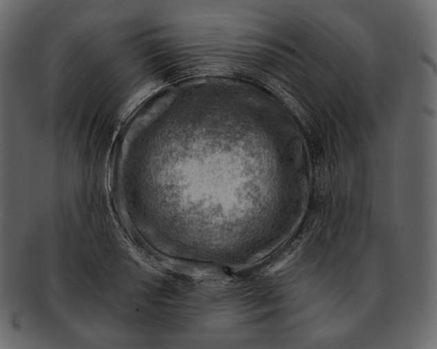 X0000092301034200710051216