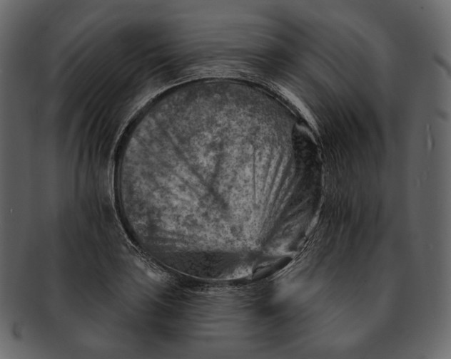 X0000092301035200710051216