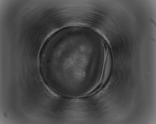 X0000092301037200710051216