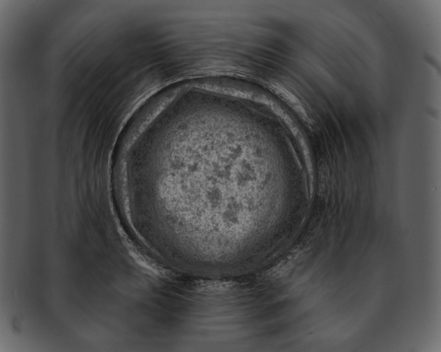 X0000092301039200710051216