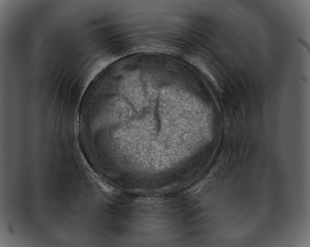 X0000092301040200710051216