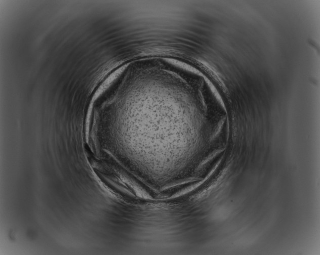 X0000092301041200710051216