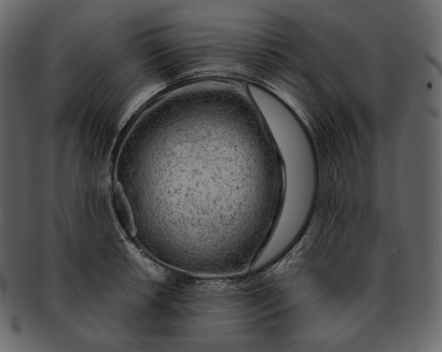 X0000092301042200710051216