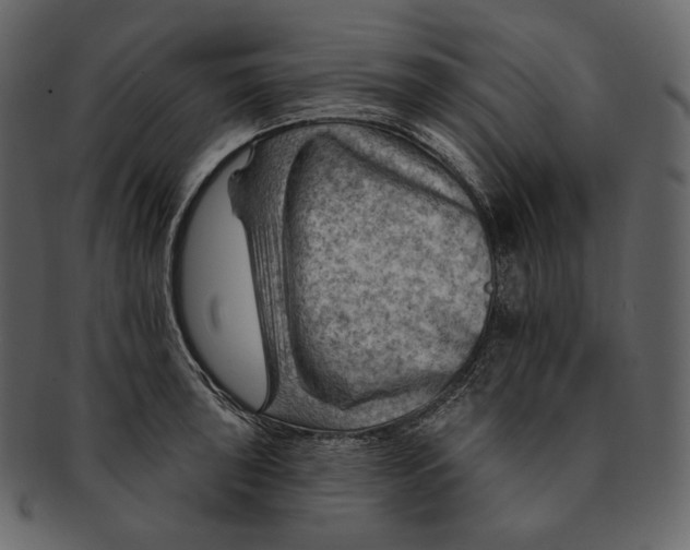 X0000092301043200710051216