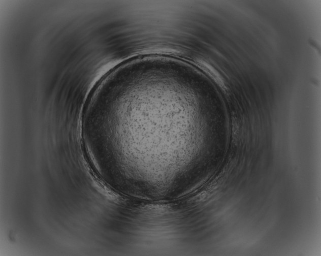 X0000092301044200710051216