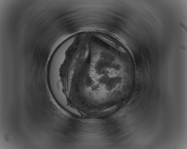 X0000092301045200710051217