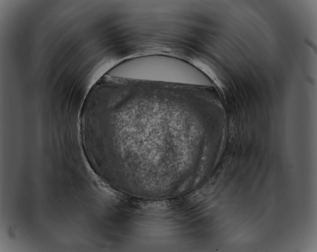 X0000092301047200710051217