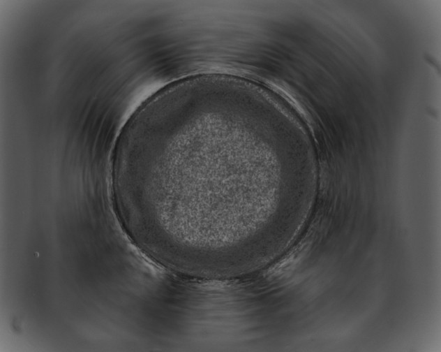 X0000092301048200710051217