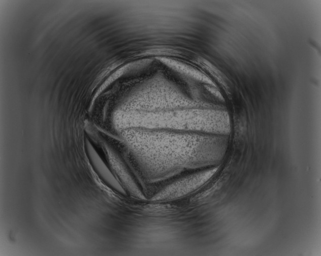 X0000092301049200710051217