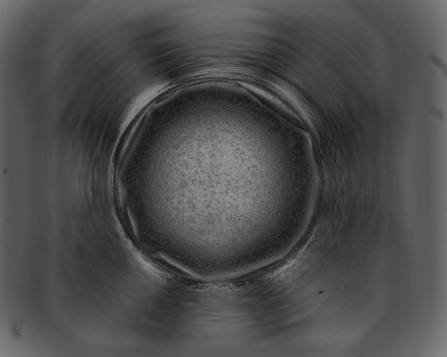 X0000092301050200710051217