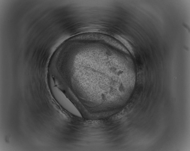 X0000092301051200710051217