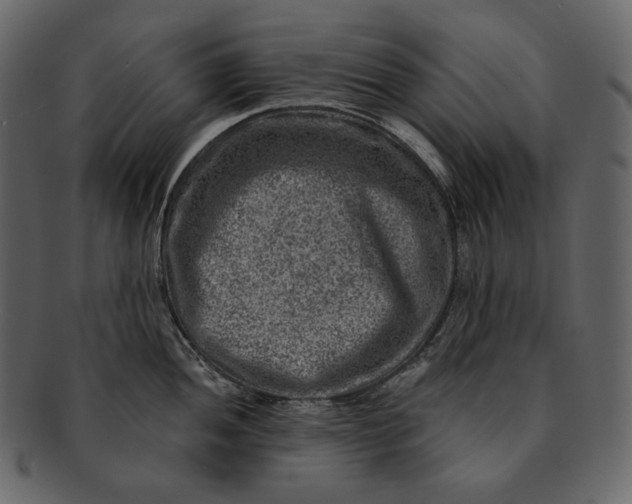 X0000092301052200710051217