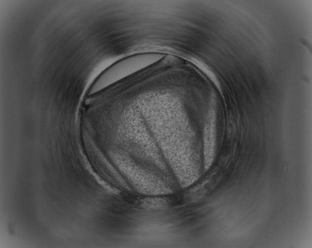 X0000092301053200710051217