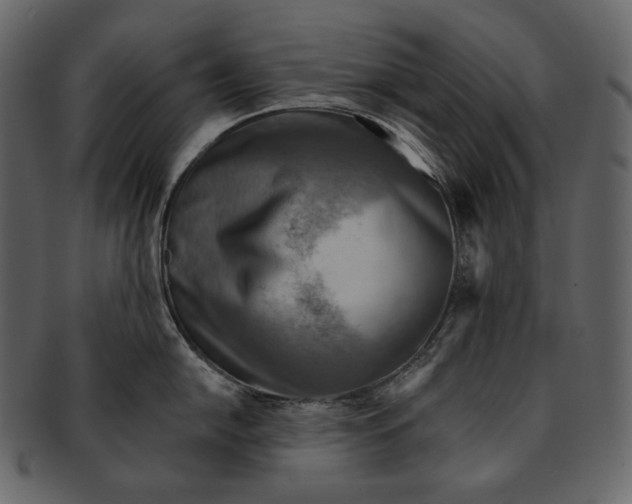 X0000092301054200710051217