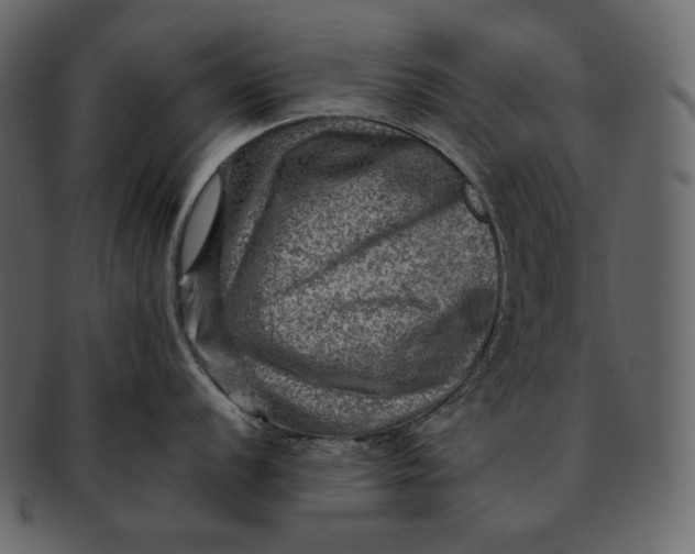 X0000092301056200710051217