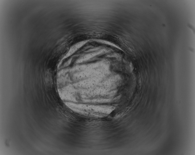 X0000092301058200710051216