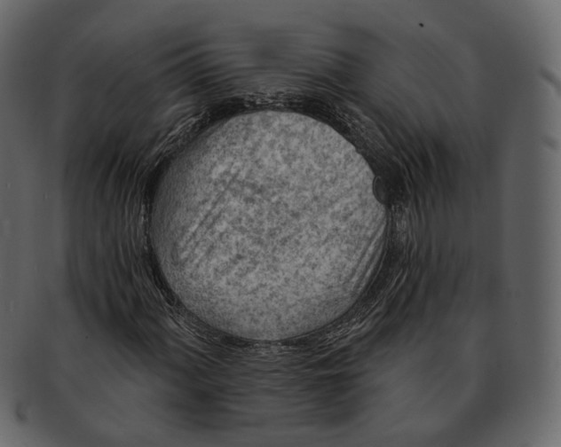 X0000092301060200710051216