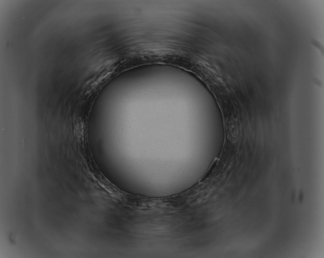 X0000092301061200710051216