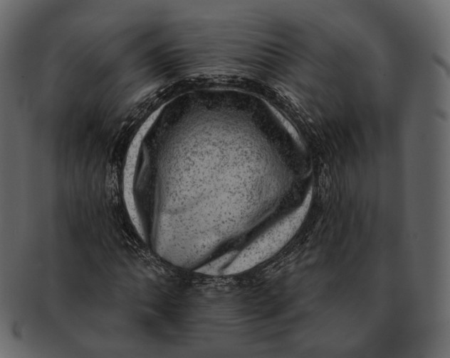 X0000092301062200710051216