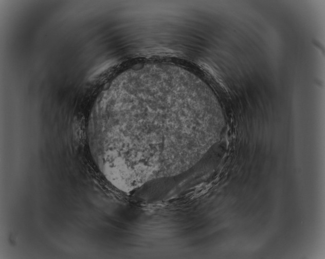 X0000092301063200710051216