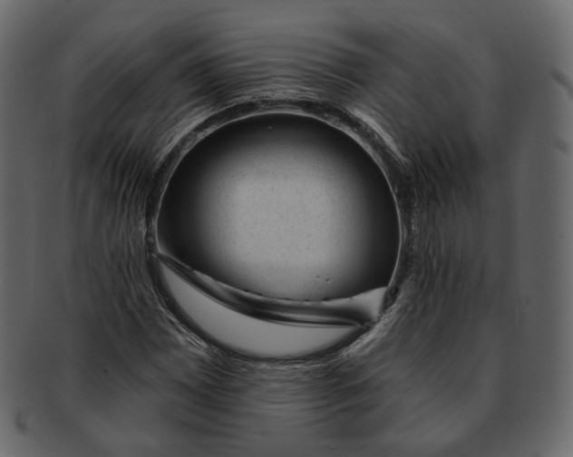 X0000092301065200710051216