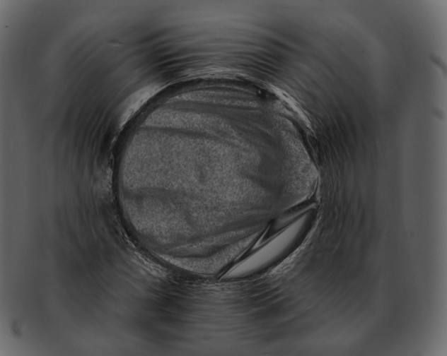 X0000092301066200710051216