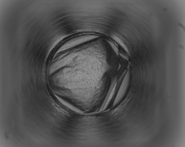 X0000092301068200710051216