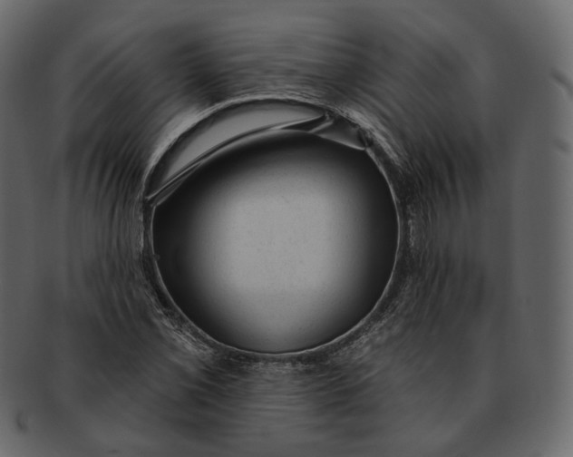 X0000092301069200710051216