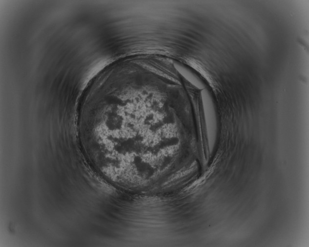 X0000092301071200710051216