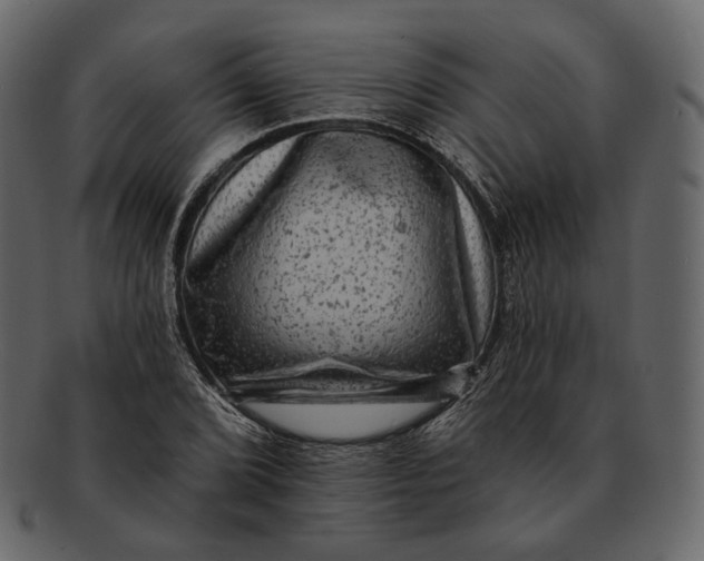 X0000092301072200710051216