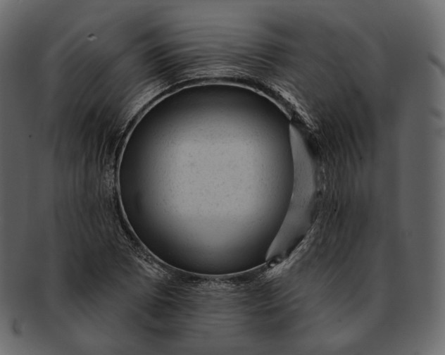 X0000092301073200710051216